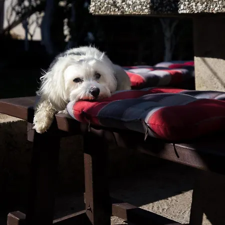 Charming Dodo بيت ضيافة
