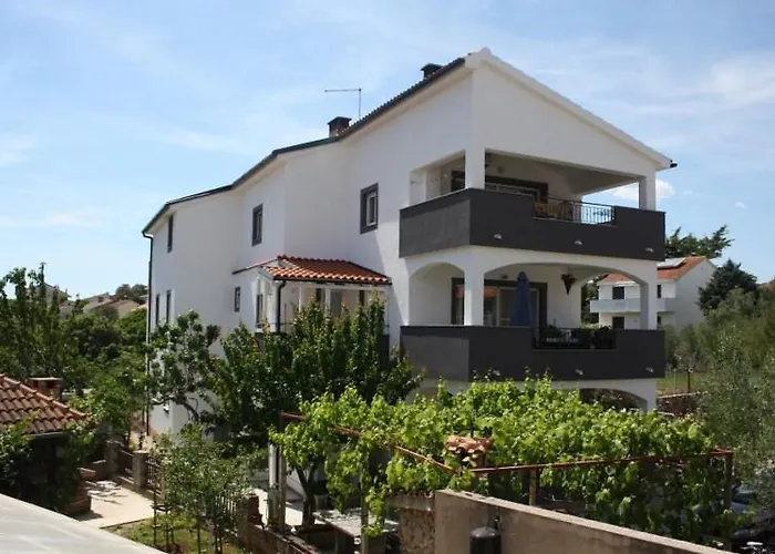 Charming Dodo كرك