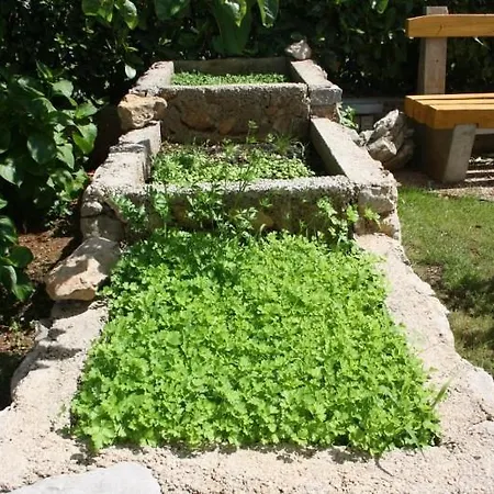 Charming Dodo Krk Town