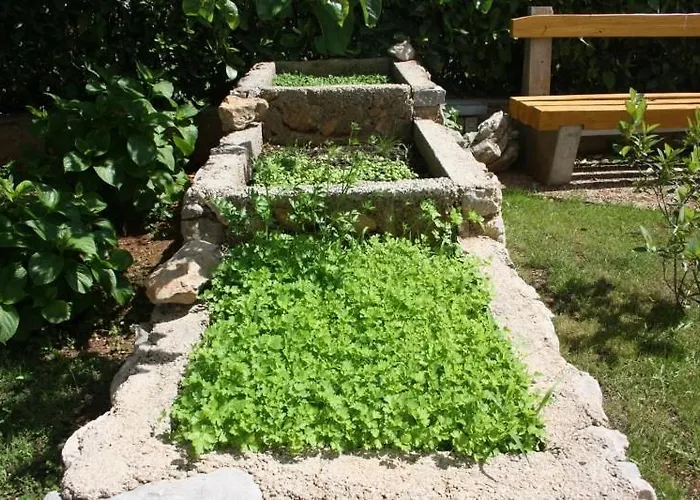 Charming Dodo Krk Town