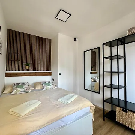 Charming Dodo クルク