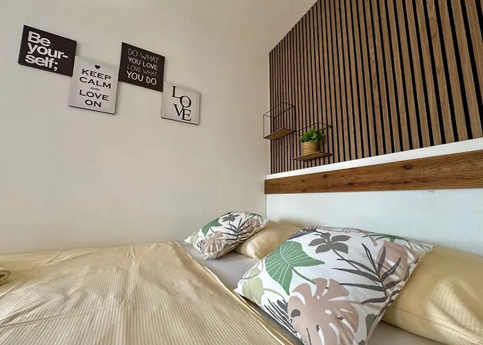 Charming Dodo 4* 크르크